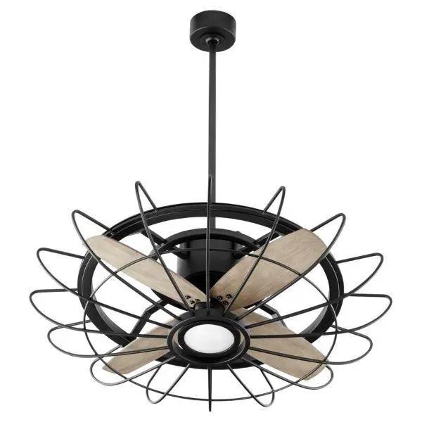 Caged Ceiling Fan