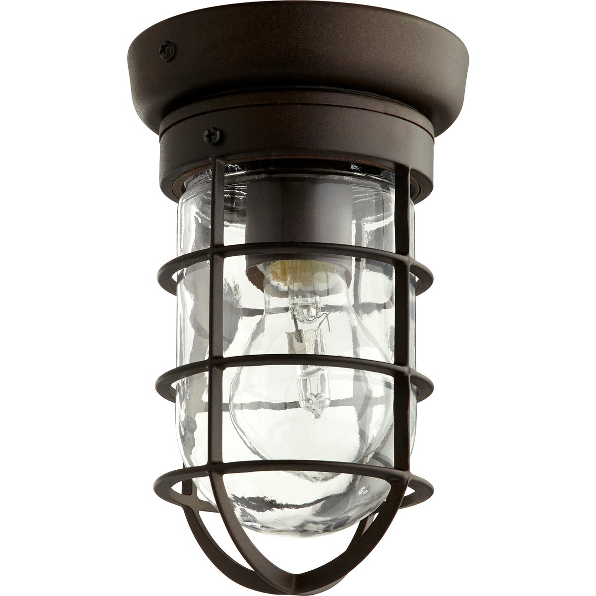 Coastal Outdoor Ceiling Light