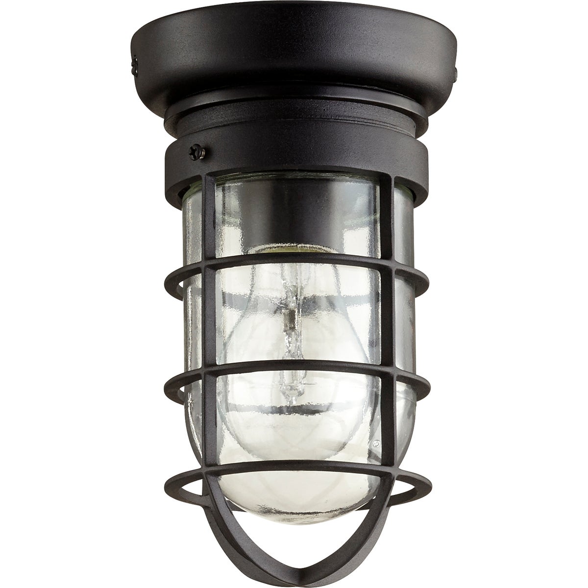 Coastal Outdoor Ceiling Light