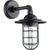 Coastal Outdoor Wall Light