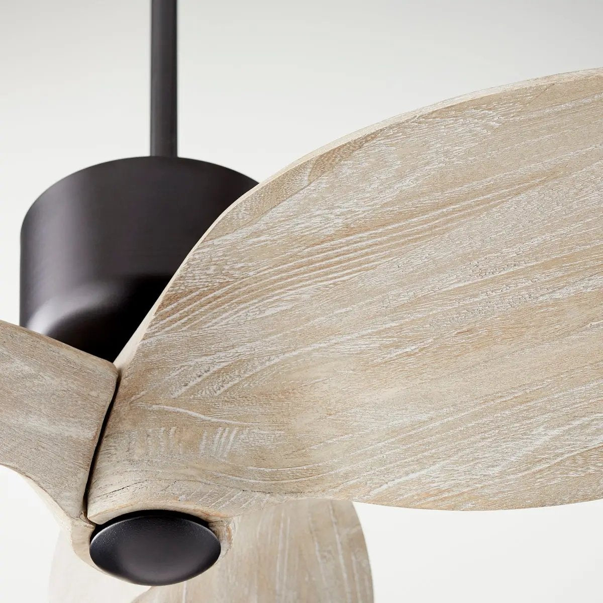 Contemporary Ceiling Fan