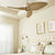 Contemporary Ceiling Fan