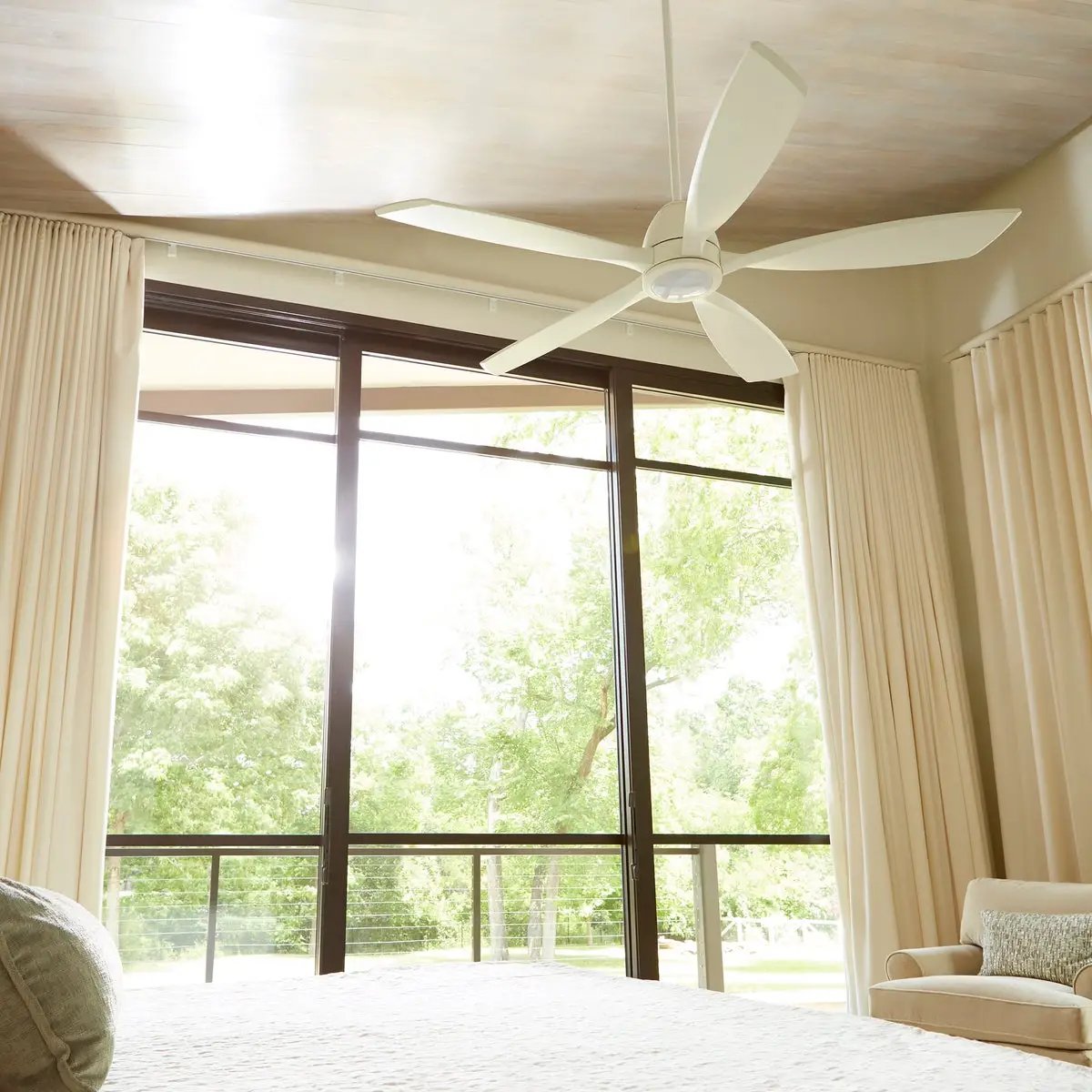 Contemporary Ceiling Fan with Light