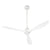 Modern Ceiling Fan with Light