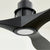 Modern Ceiling Fan with Light