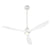 Modern Ceiling Fan with Light