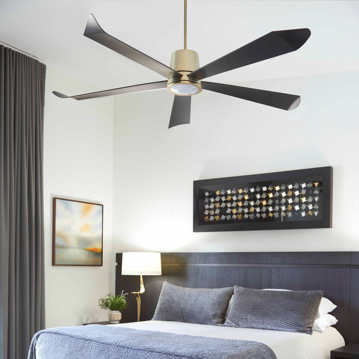 Smart Ceiling Fan