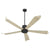 Smart Ceiling Fan